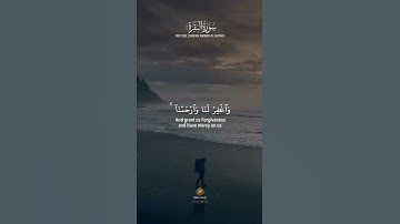 تلاوة مميزة من أواخر سورة البقرة 🎧🌷/ حالات واتس اب دينية