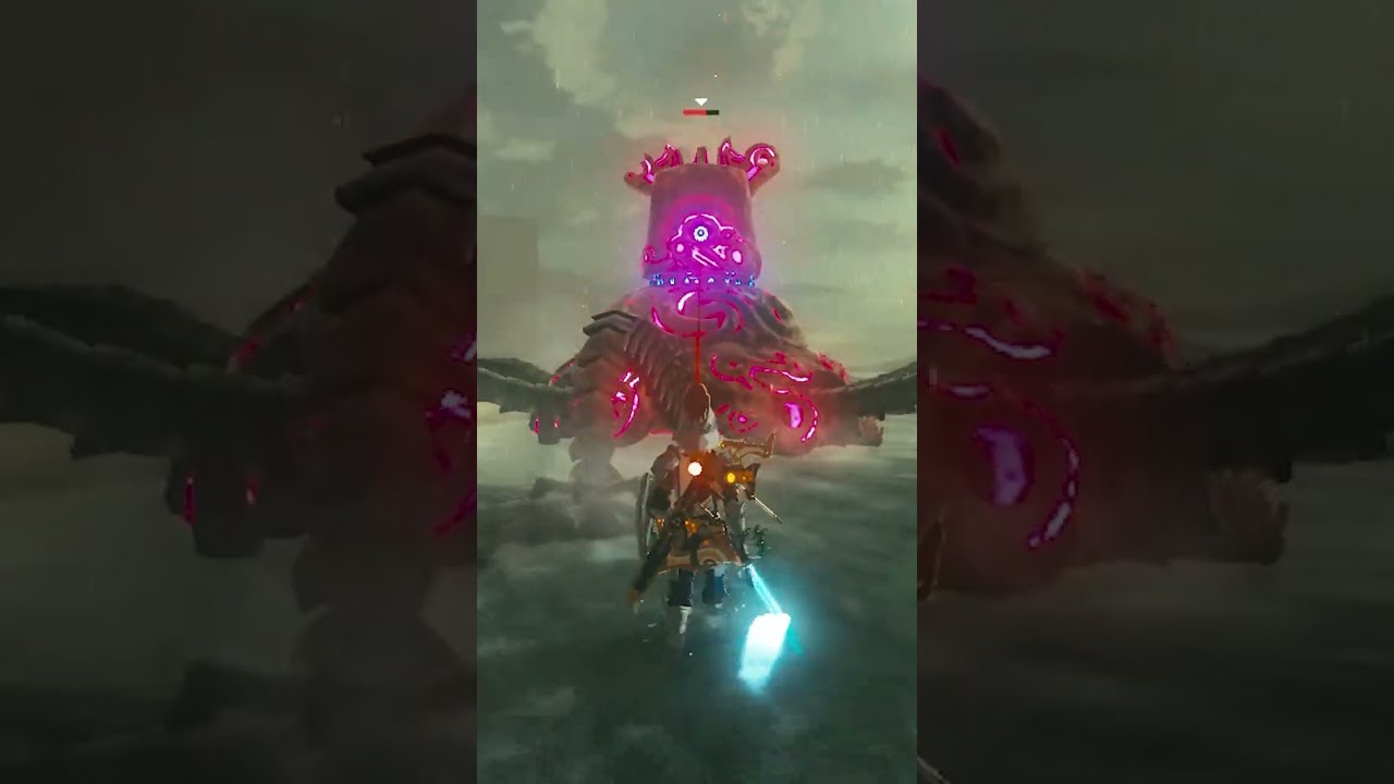 The Craziest BoTW Combo Ive Ever Seen  viral  Zelda  shorts