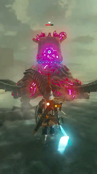 The Craziest BoTW Combo I’ve Ever Seen... #viral #Zelda #shorts