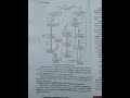 #viralvideo #exam #2025 # B.Sc 3rd year Botany Major group A ka 1st paper imp questions and answers