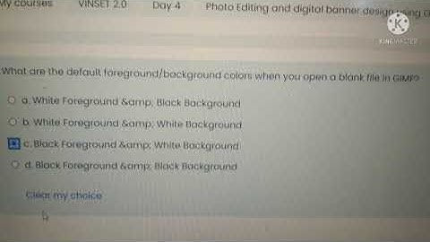 Answer Key l Photo Editing & Digital Banner Design using GIMP for Instructional Video Development