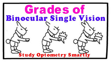 3 Grades of Binocular Vision