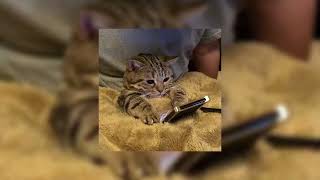 Henry Moodie - drunk text (sped up   reverbed)