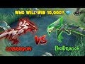 the COBRA DRAGON vs TOXIC BIOHAZARD DRAGON - THE MOVIE! (10K 💎 Winner)  THE BATTLE of DRAGONS - MLBB