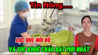 Tin Mới: Sức Khoẻ Cháu Đạt Mới Nhất,Lục Đục Nội Bộ Chị Lan Đính Chính,Bác Dũng Khóc Bỏ Về