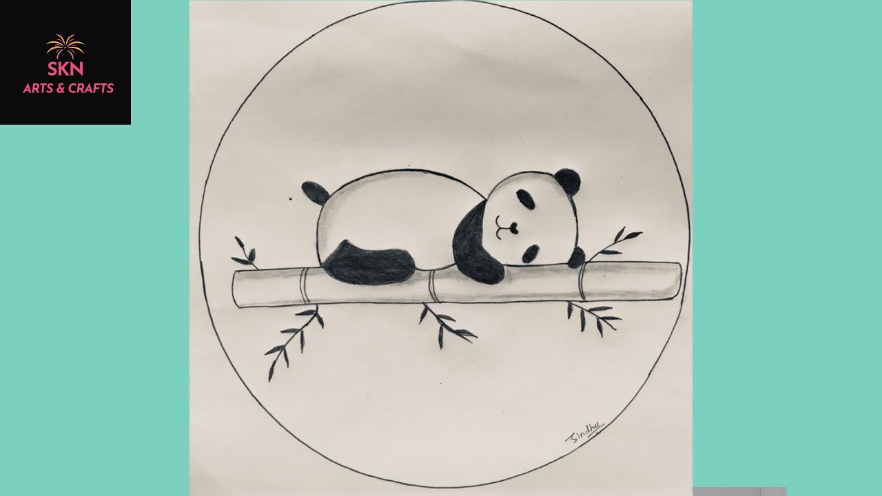 Cute Panda Drawing Tumblr Why Are You Reporting This - Panda Drawing - Free  Transparent PNG Clipart Images Download