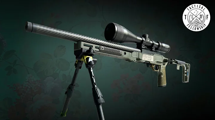 Why You SHOULD Buy A Ruger 10/22 | Grey Birch Volquartsen Build