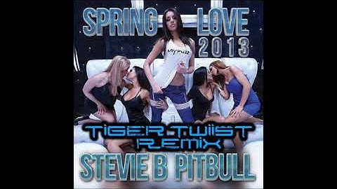 Thumbnail of Stevie B Feat  Pitbull   Spring Love (Tiger Twiist Remix)