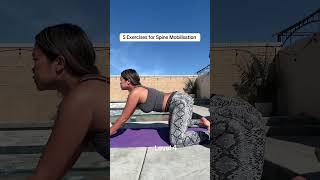 Spine Mobility Exercises to Relieve Stiffness Fast #workout #motivation #yoga