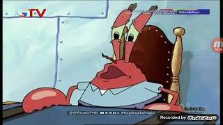 Tuan Krab | Biola terkecil sedunia | Spongebob Squarepants GTV