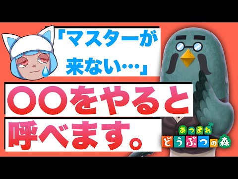 【あつ森　アプデ】マスターが来ない人必見！喫茶店ハトの巣の解放条件！【あつまれどうぶつの森　呼び方　呼ぶ条件　リアクション】