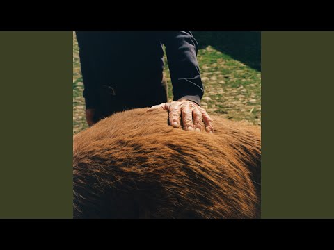 Matt Carmichael - Frog Green (feat. Fergus McCreadie, Ali Watson & Chris Amer)