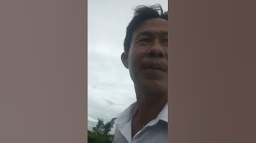 cuộc sống của nông thôn thị xã Gò Công tỉnh Tiền Giang