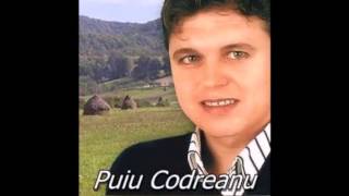Vignette de la vidéo "Puiu Codreanu - S-a nascut un printisor negativ 2015"