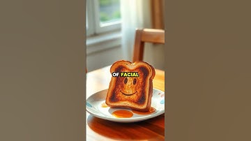 The Science of Seeing Faces: Understanding Pareidolia