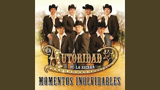 Watch La Autoridad De La Sierra Amor Millonario video