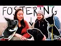 Foster Dog Experience 🐕 🐾 How to foster a rescue in NYC and what to know beforehand!