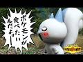 ポケモンが食べたいんだよォーー！！！【ポケモンチャンピオンズ】