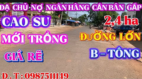 Dạ,chủ đang ngộp ngân hàng,cần bán gấp đất trồng cao su-2,4ha,2Tỷ 500tr,chủ bớt tiền sang sổ rất cần