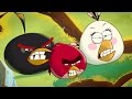 Angry Birds Cartoon Movie - Angry Birds Toons Collection full episodes - Angry Birds and Bad Piggies