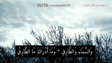 اجمل حالة وتس تلاوة خاشعة في سورة: الطارق.،للقارئ/ ماهر المعيقلي