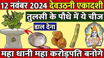 12 नवंबर 2024 देवउठनी एकादशी तुलसी के पौधे में ये चीज डाल देना महा करोड़पति बनोगे ||