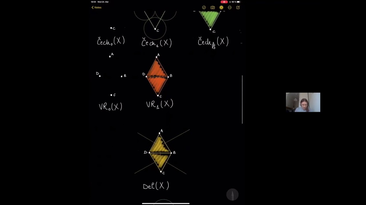 Čech, Vietoris-Rips, Delaunay and Alpha complexes [Francesca Tombari]