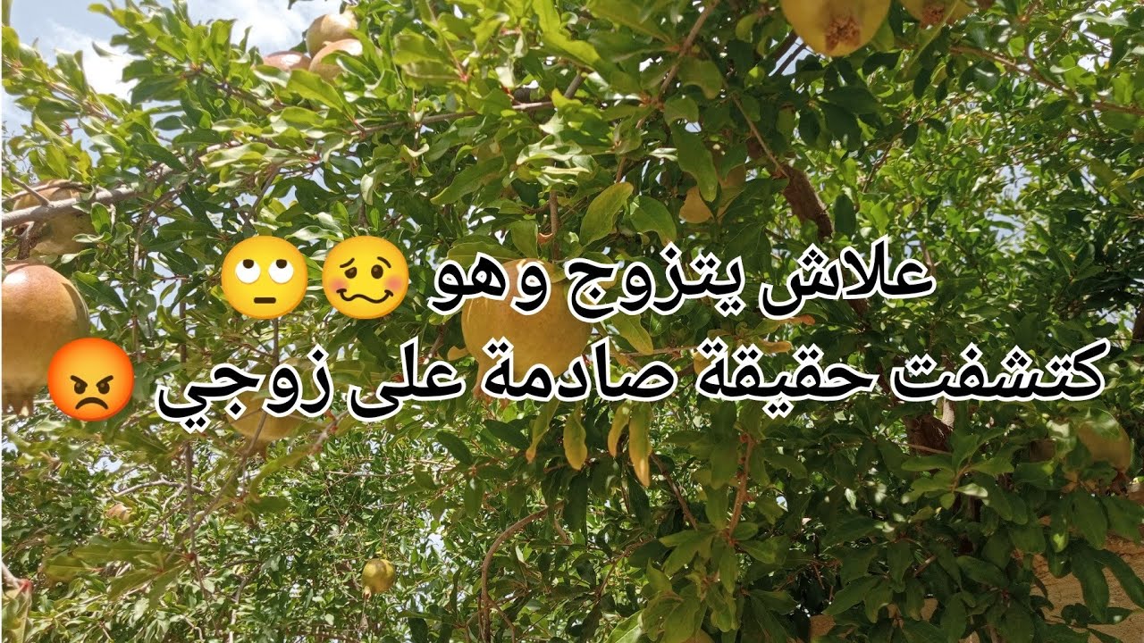 علاش يتزوج وهو 🥴🙄كتشفت حقيقة صادمة على زوجي 😡