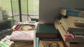 Large library & books|| popular books for read|| librarian || library books