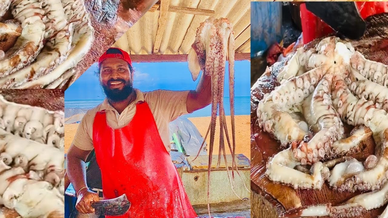 giant octopus cutting skills | Fast cutting skills