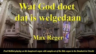 Wat God doet, dat is welgedaan, Max Reger