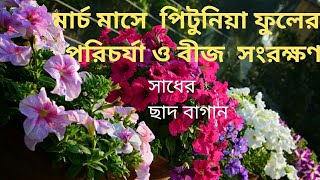 Finem va Ferbdan Kandis bilan jinsiy aloqa