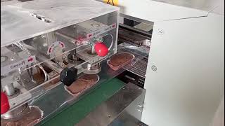 LINK MACHINERY TECHNOLOGY LTD BG-350XDSF Flowpack