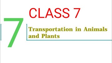 Class 7 Science NCERT Chapter 11 Transportation in animals & plants Exercise Sol. explanation Part 2