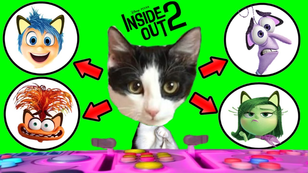 GATO VIVIENDO 24 HORAS LAS EMOCIONES DE LA PELICULA INSIDE OUT 2 vs gatitos Luna y Estrella