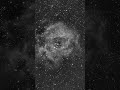 Some B&W shots of some wonderful nebulae #space #universe #astronomy #astrophotos