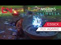 Ac valhalla fly agaric essex hallucination challenge mushroom mystery