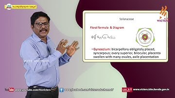 KITE VICTERS Plus One Botany Class 23 (First Bell-ഫസ്റ്റ് ബെല്‍)