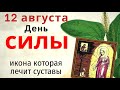 Просите сегодня мира в семье и крепкого здоровья. А у Богородицы избавления от боли в суставах