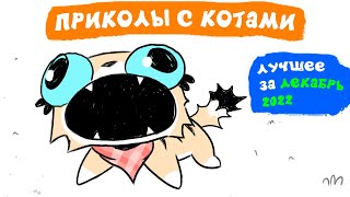 видео: Приколы с котами. ЛУЧШЕЕ ЗА ДЕКАБРЬ 2022 | Мемозг картинка: Приколы с котами. ЛУЧШЕЕ ЗА ДЕКАБРЬ 2022 | Мемозг