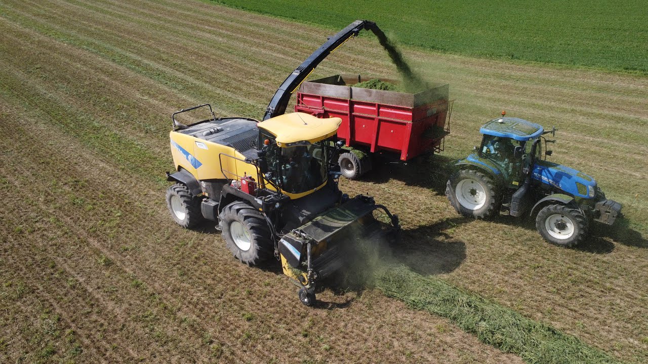 Senážování jetele 2025  | New Holland FR 9060 | Agroservis Záměl | Farma Tichý