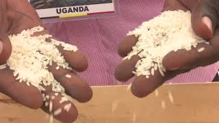 Uganda signs 2 4 mln USD China funded agriculture project