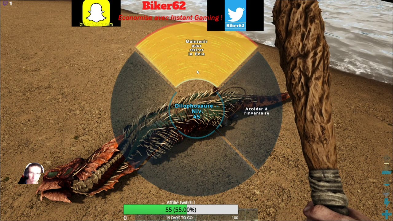 A la recherche de mon nouvel animal de compagnie 2 YouTube