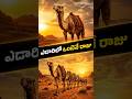🐫 Desert లో king ఎవరు అంటే… Camel! 😲40 days నీరు లేకుండా survive 😱🌵 / Voice4Values