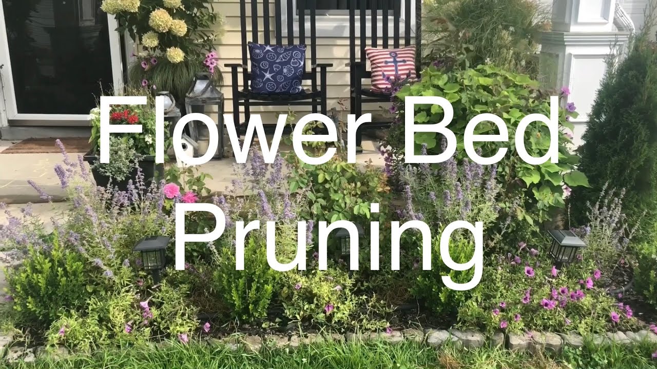 Flower Bed Update and Pruning YouTube