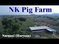 NK Pig Farm - Mahendergarh (Haryana) | Swastik Pig Farm