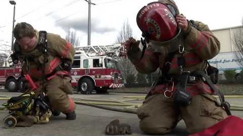 FLIR K2 Thermal Imaging Camera