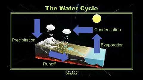 4th Grade - Science - The Water Cycle - Topic Overview