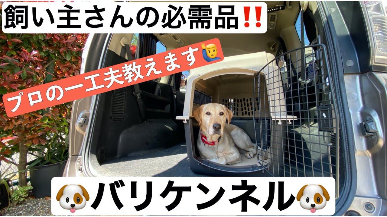 ペットライブラリー カラーバリケンネルウルトラ Xl サイズの価格と最安値 おすすめ通販を激安で