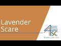 Video Tutorial Quiz